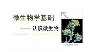 1.微生物概述.ppt