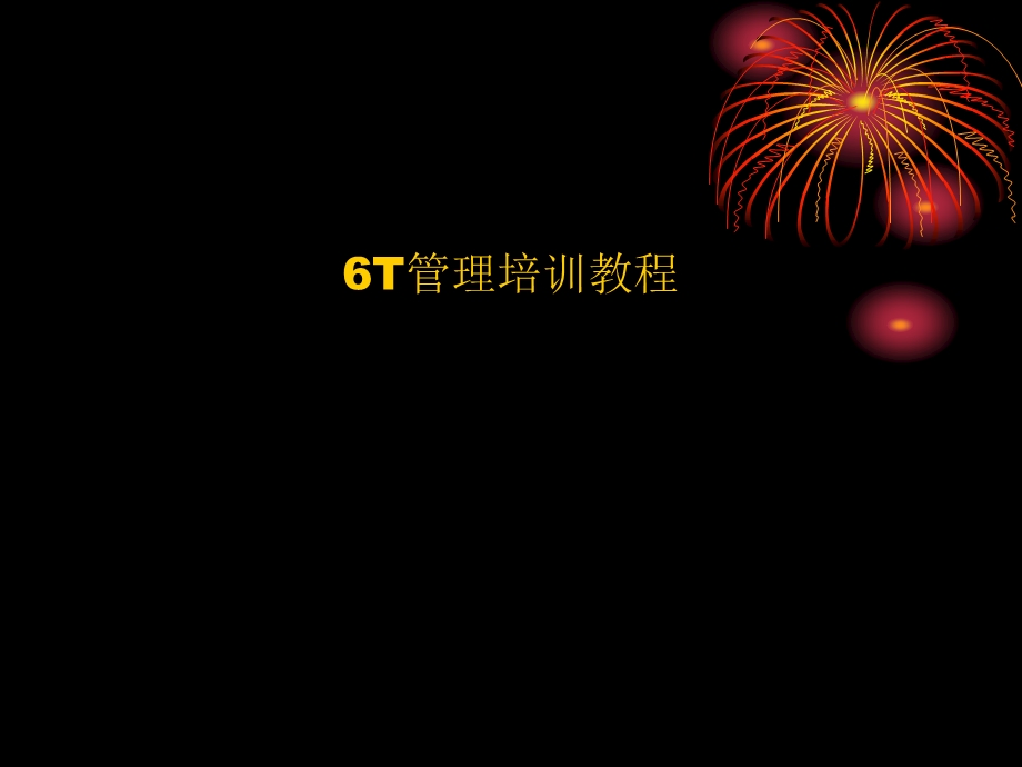 6T管理培训教程.ppt_第1页