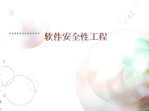 软件安全工程.ppt