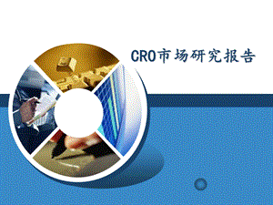 CRO市场研究报告.ppt