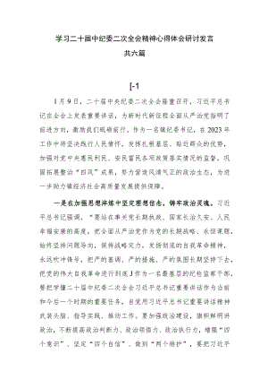 学习二十届中央纪委二次全会精神心得体会研讨发言共六篇.docx