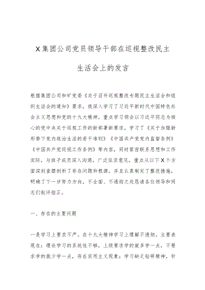 X集团公司党员领导干部在巡视整改民主生活会上的发言.docx