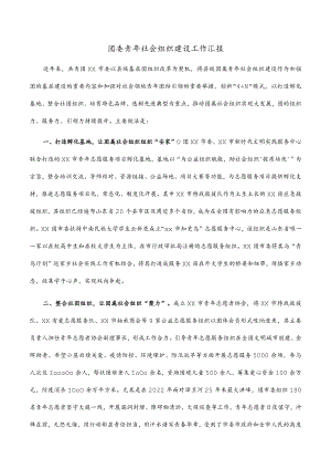 团委青年社会组织建设工作汇报.docx