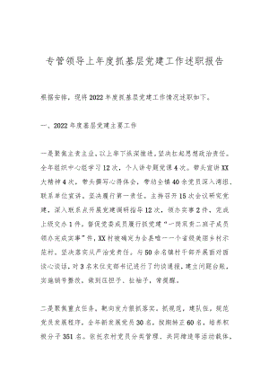 专管领导上年度抓基层党建工作述职报告.docx