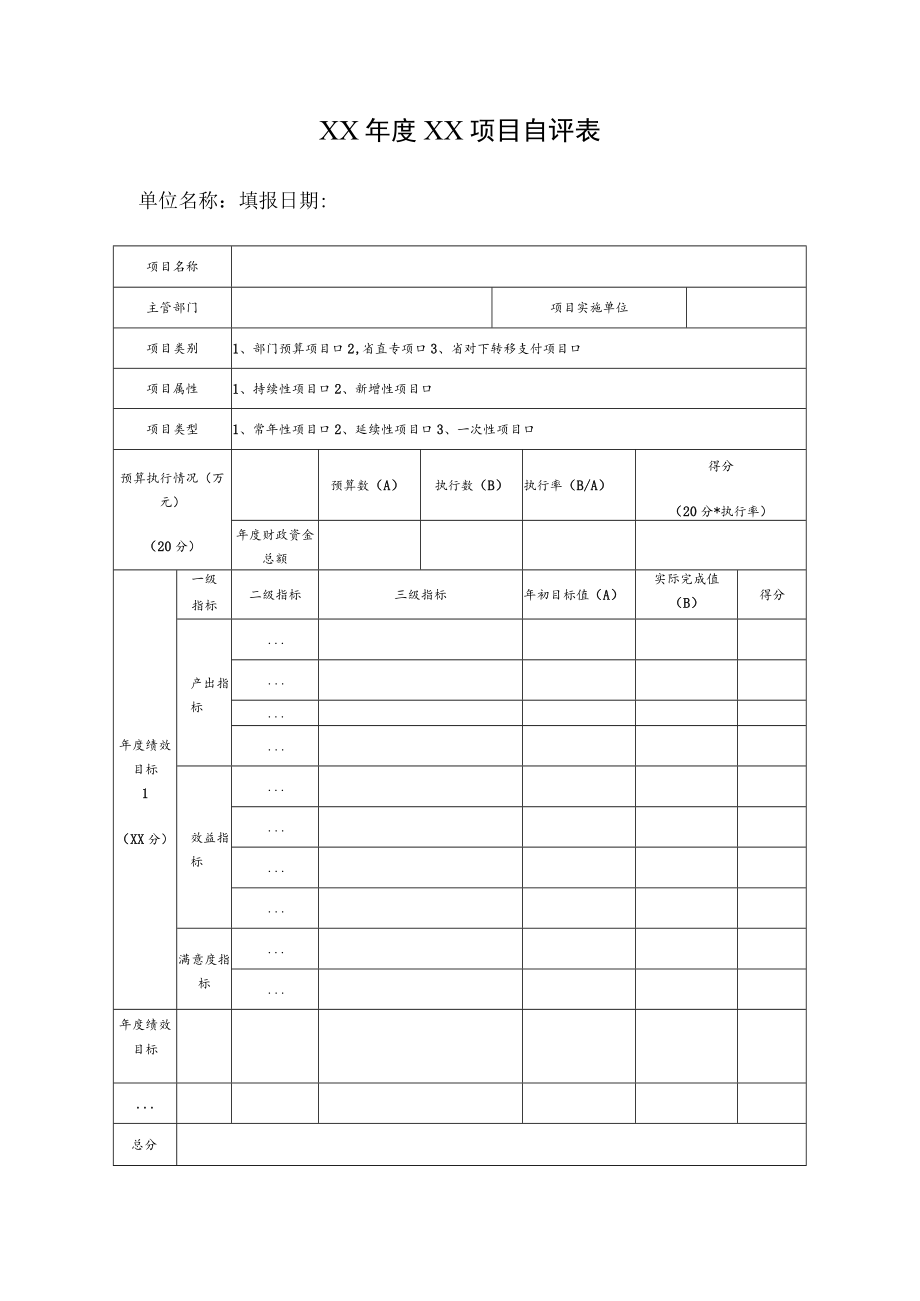 年度项目自评表.docx_第1页