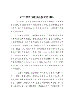 村干部队伍建设经验交流材料.docx