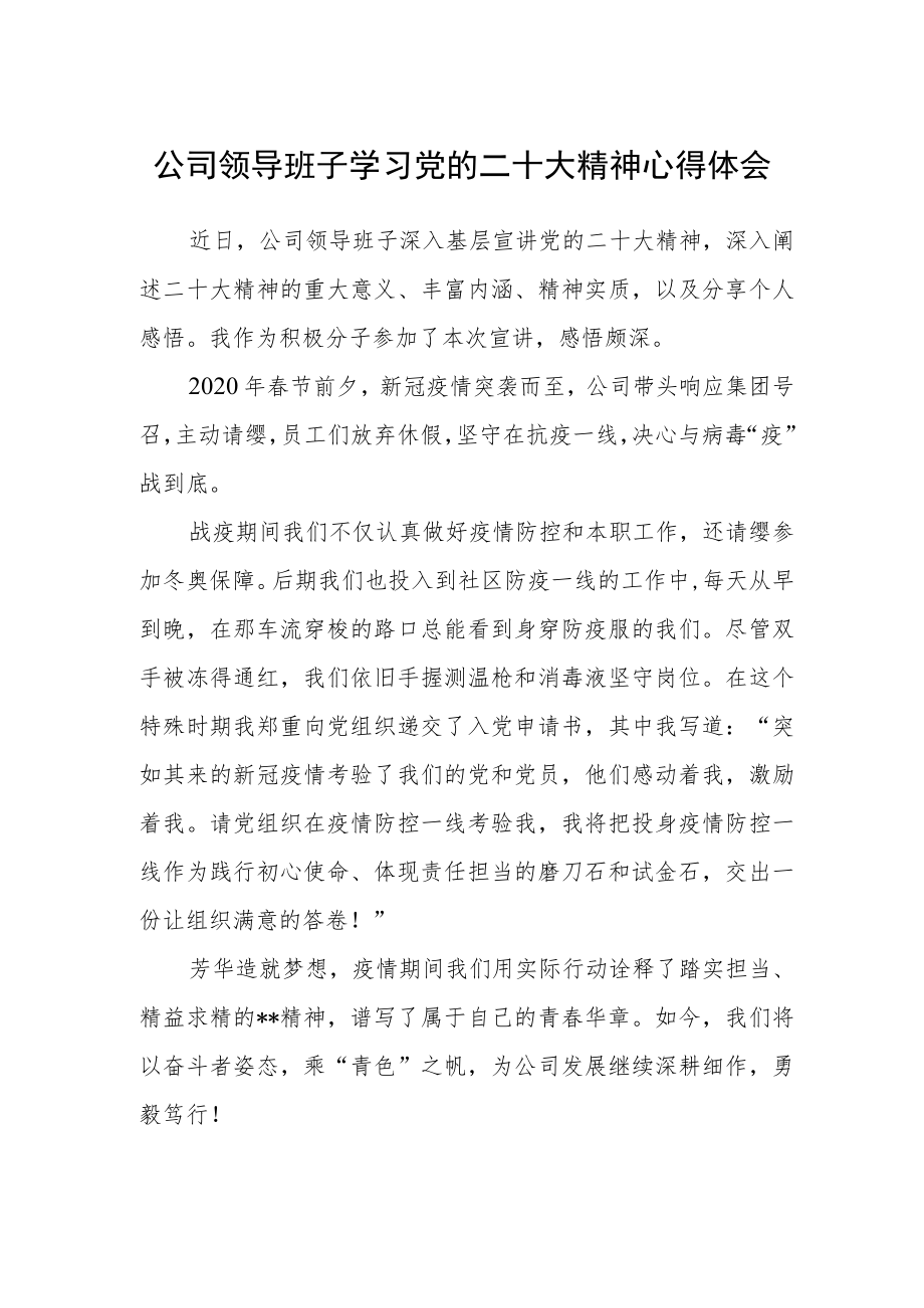 公司领导班子学习党的二十大精神心得体会.docx_第1页