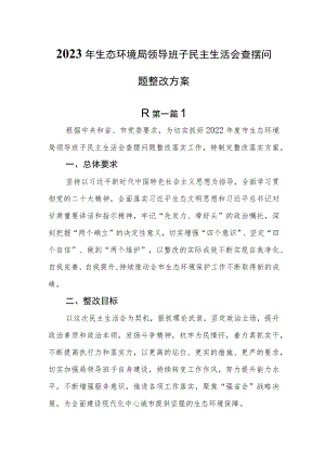 （2篇）2023年领导班子民主生活会査摆问题整改方案（生态环境局、乡镇）.docx