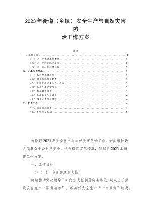 2023年街道（乡镇）安全生产与自然灾害防治工作方案.docx