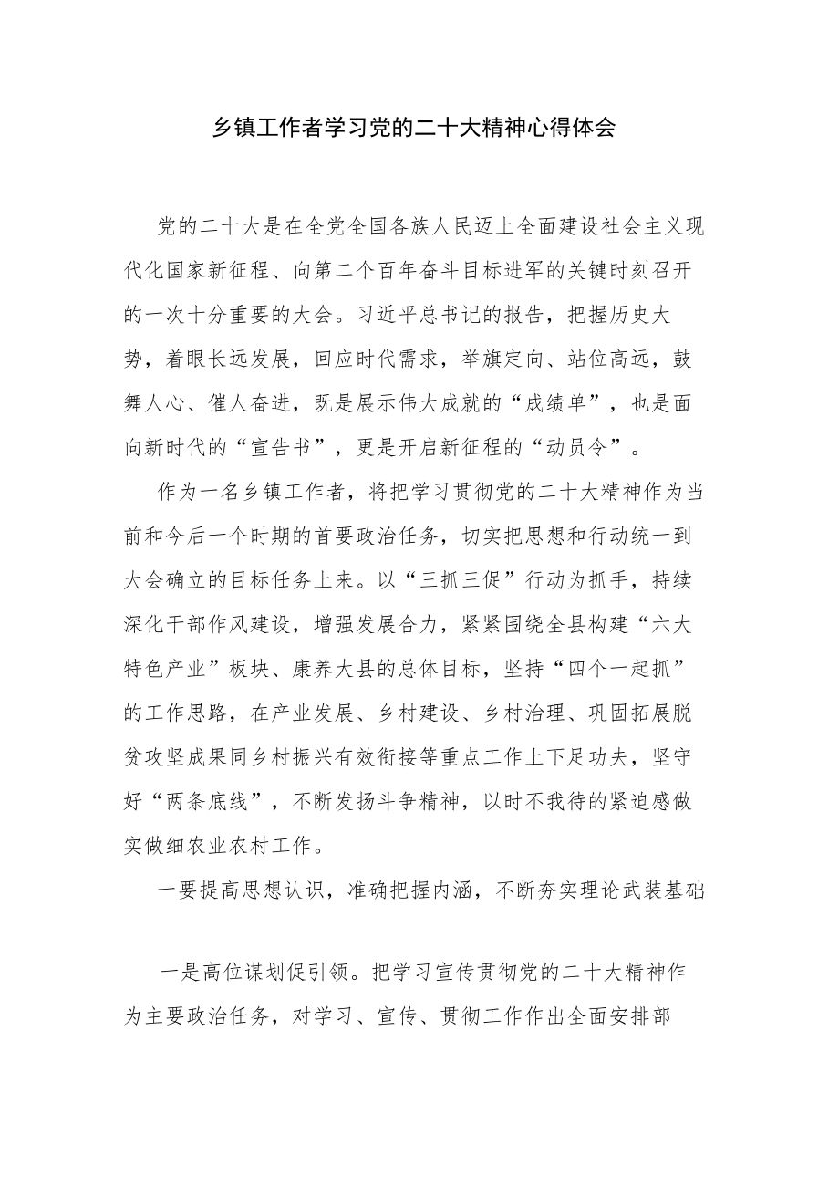 乡镇工作者学习党的二十大精神心得体会.docx_第1页