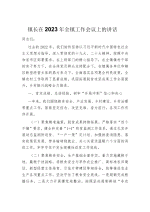 镇长在2023年全镇工作会议上的讲话.docx