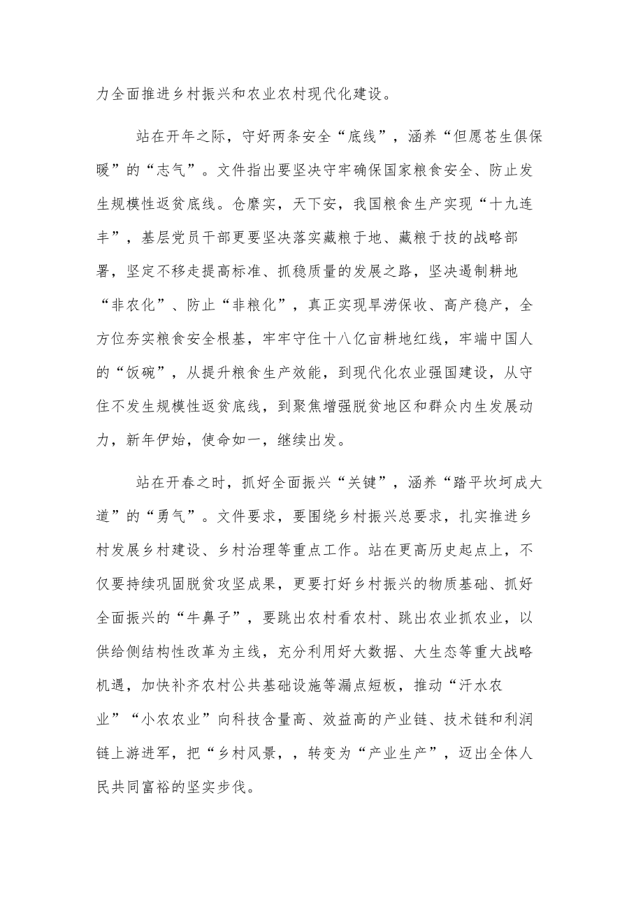 学习贯彻2023年中央一号文件心得体会3篇.docx_第2页