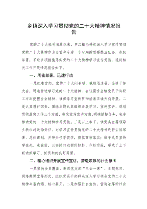 乡镇深入学习贯彻党的二十大精神情况报告集合三篇.docx