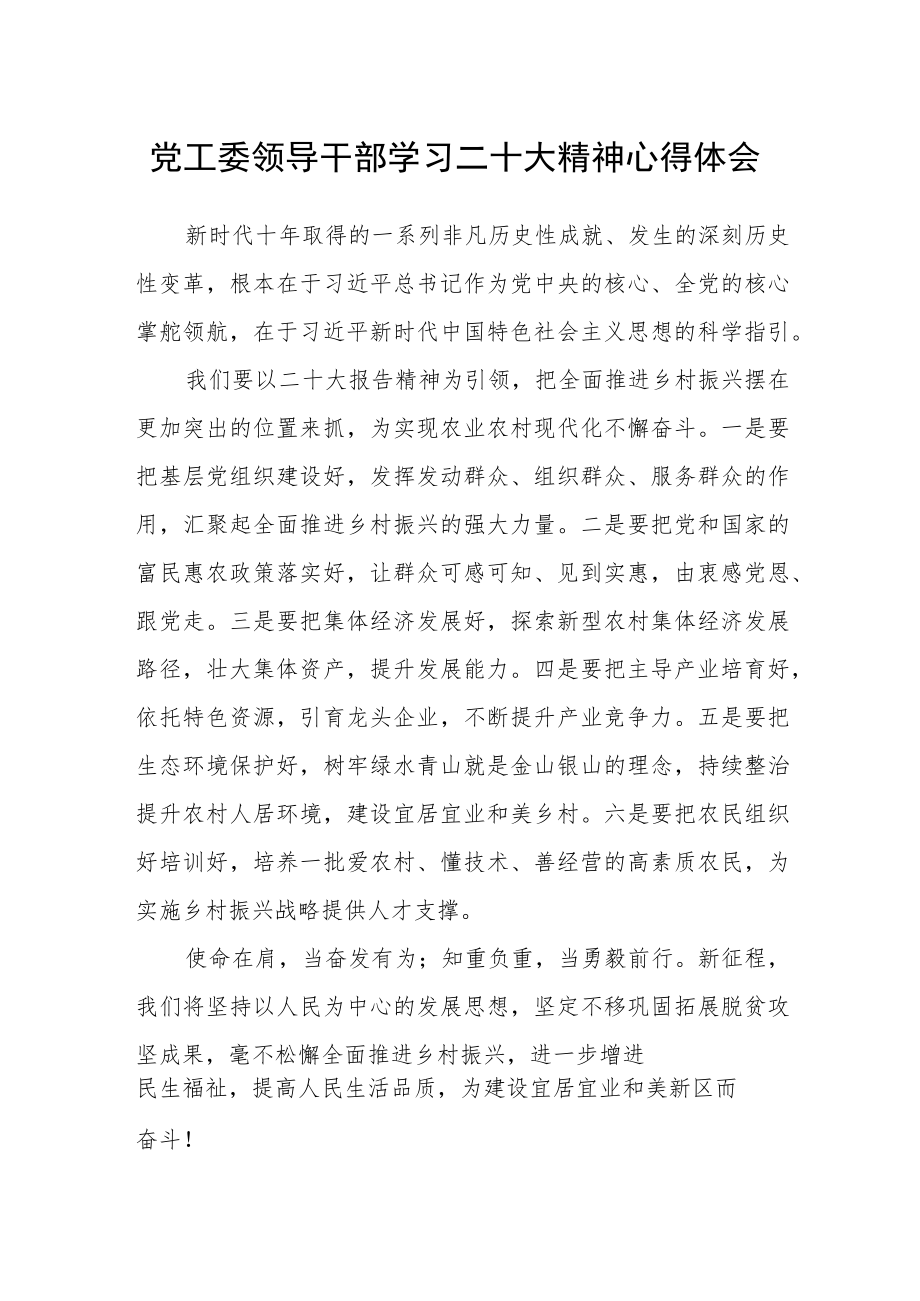 党工委领导干部学习二十大精神心得体会.docx_第1页