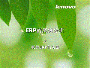 ERP的案例分析.ppt