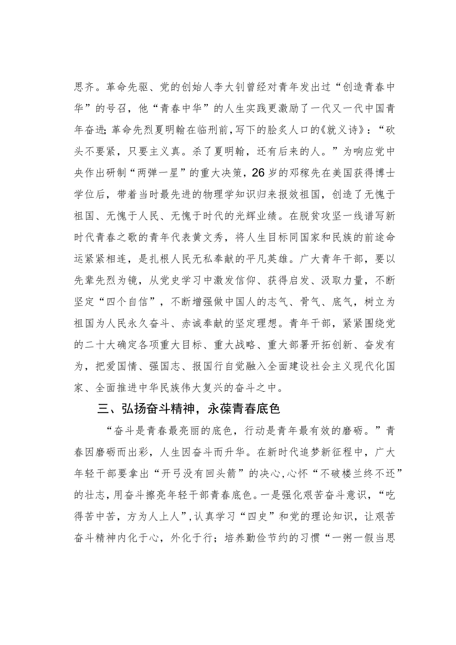 青年干部学习二十大精神交流发言：高扬奋斗之帆让青春在新时代更加绚烂多彩.docx_第3页