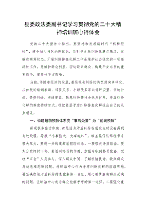 县委政法委副书记学习贯彻党的二十大精神培训班心得体会.docx