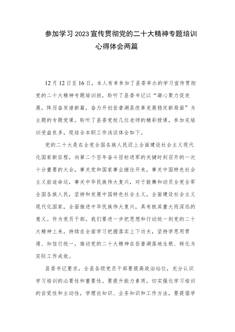 参加学习2023宣传贯彻党的二十大精神专题培训心得体会两篇.docx_第1页