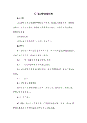 公司安全管理制度（三页）.docx