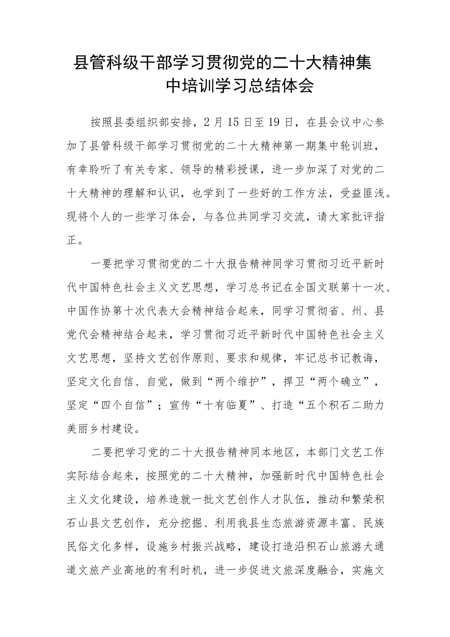 团县委书记学习贯彻党的二十大精神培训班心得体会范文(精选三篇).docx_第3页