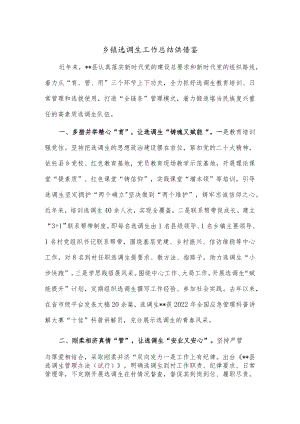 乡镇选调生工作总结供借鉴.docx