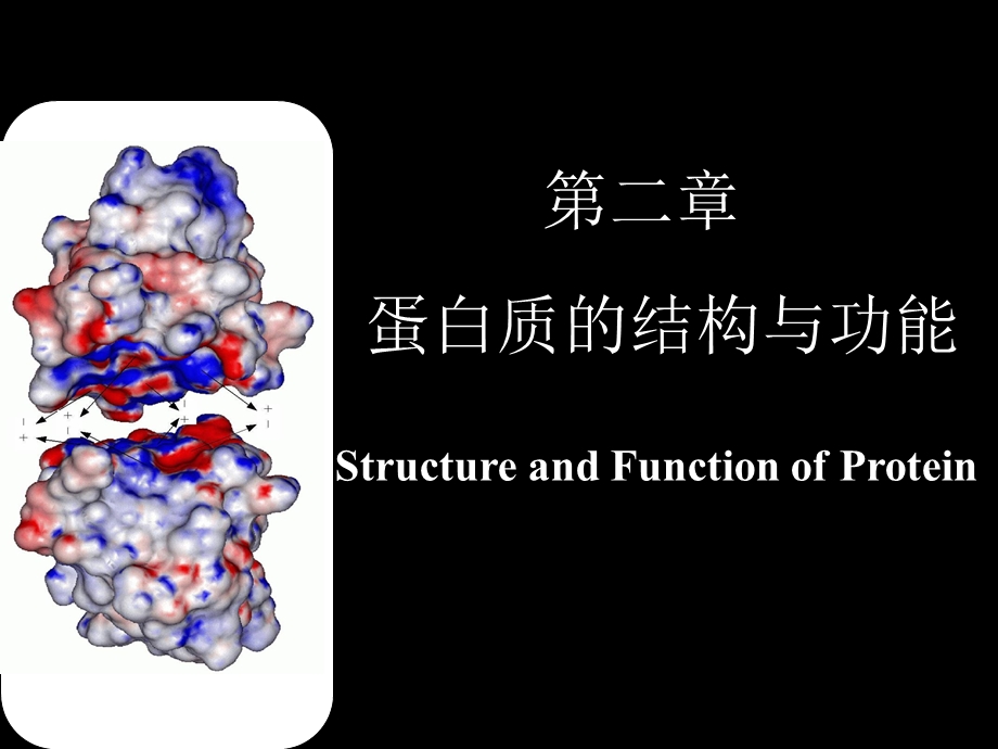 《医学生物化学》PPT课件.ppt_第1页