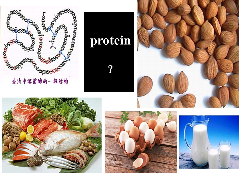 《医学生物化学》PPT课件.ppt_第3页