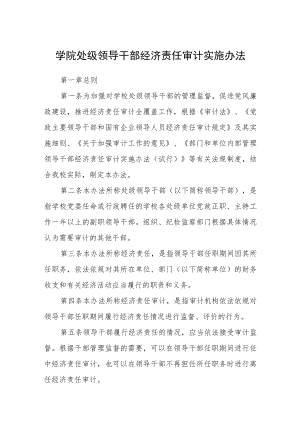 学院处级领导干部经济责任审计实施办法.docx