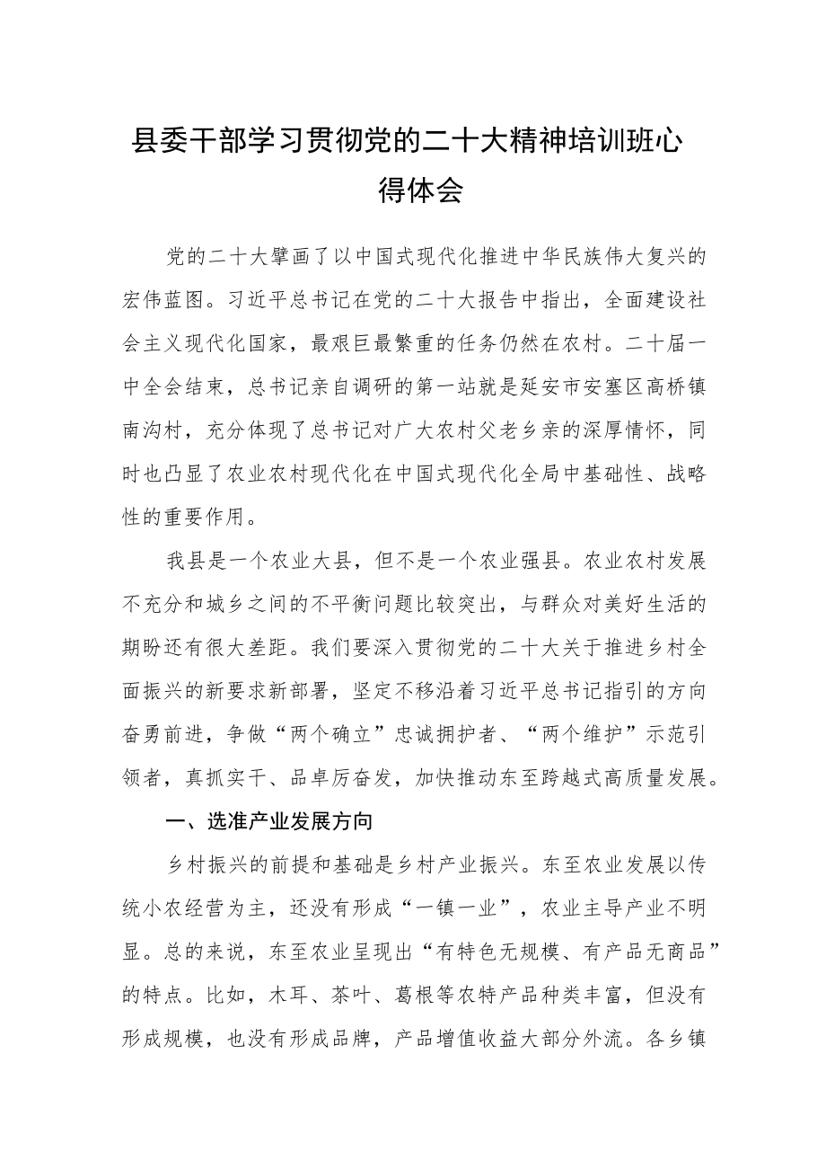 县委干部学习贯彻党的二十大精神培训班心得体会范文(精选三篇).docx_第1页