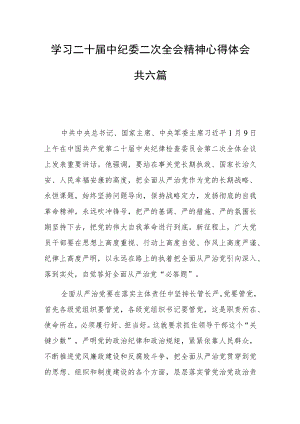 学习二十届中央纪委二次全会精神心得体会共六篇.docx