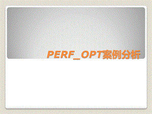 PERFOPT案例分析.ppt