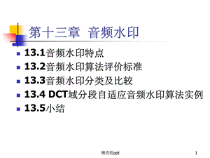 《信息隐藏技术》.ppt