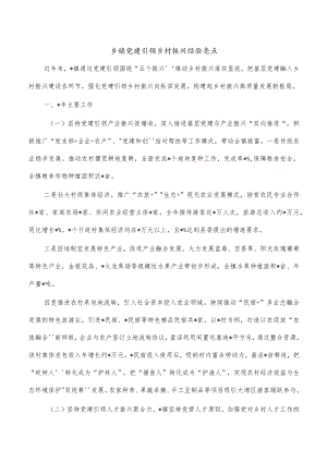 乡镇党建引领乡村振兴经验亮点.docx