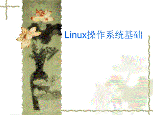 Linux+操作系统基础.ppt