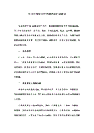 虫口夺粮促丰收两增两减行动计划.docx