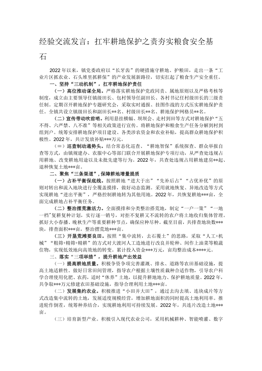 经验交流发言：扛牢耕地保护之责 夯实粮食安全基石.docx_第1页