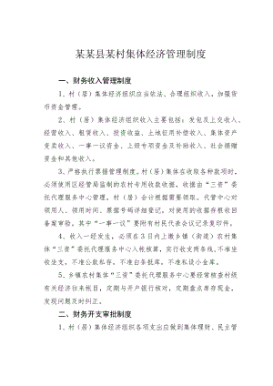 某某县某村集体经济管理制度.docx