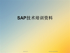 SAP技术培训资料.ppt