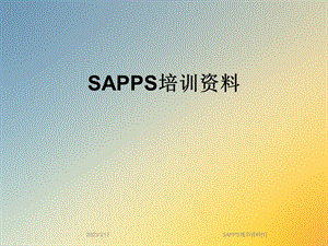 SAPPS培训资料[1].ppt