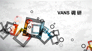 VANS品牌调研报告.ppt