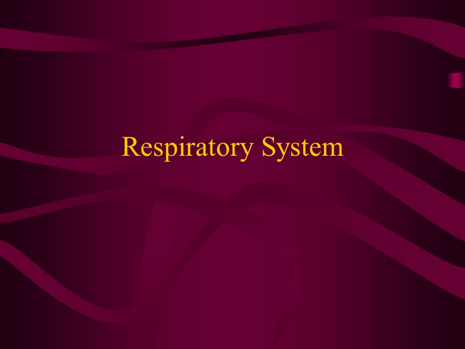 respiratoryterminology医学英语.ppt_第1页