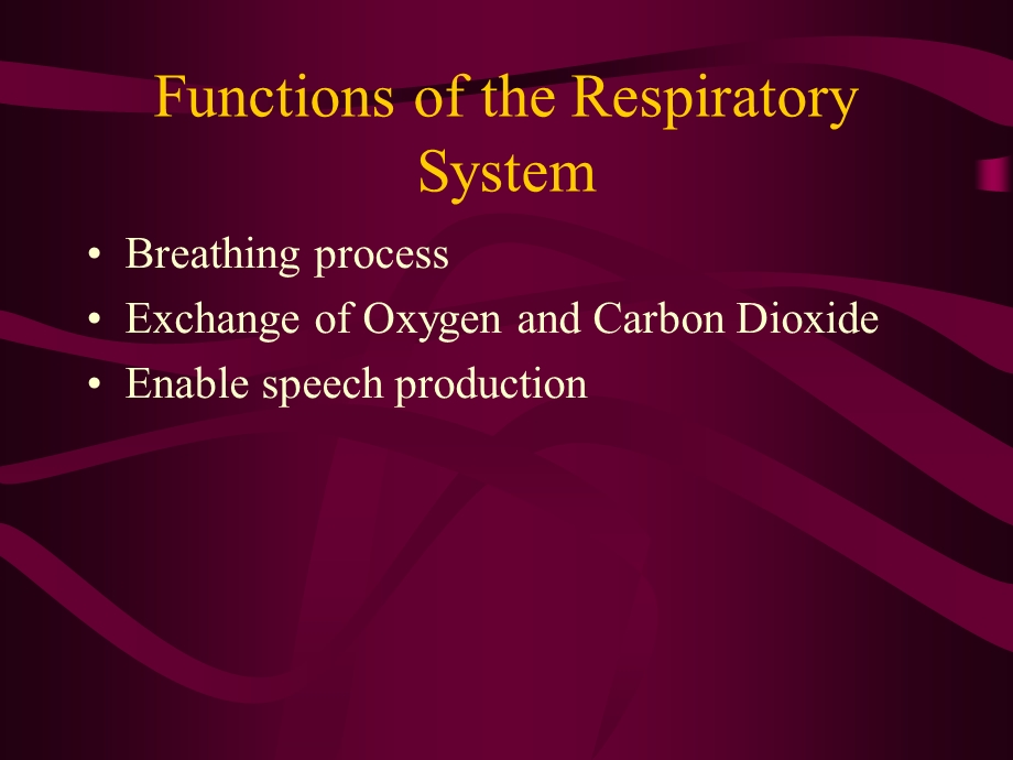 respiratoryterminology医学英语.ppt_第2页