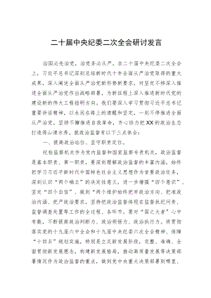 二十届中央纪委二次全会研讨发言 2篇.docx