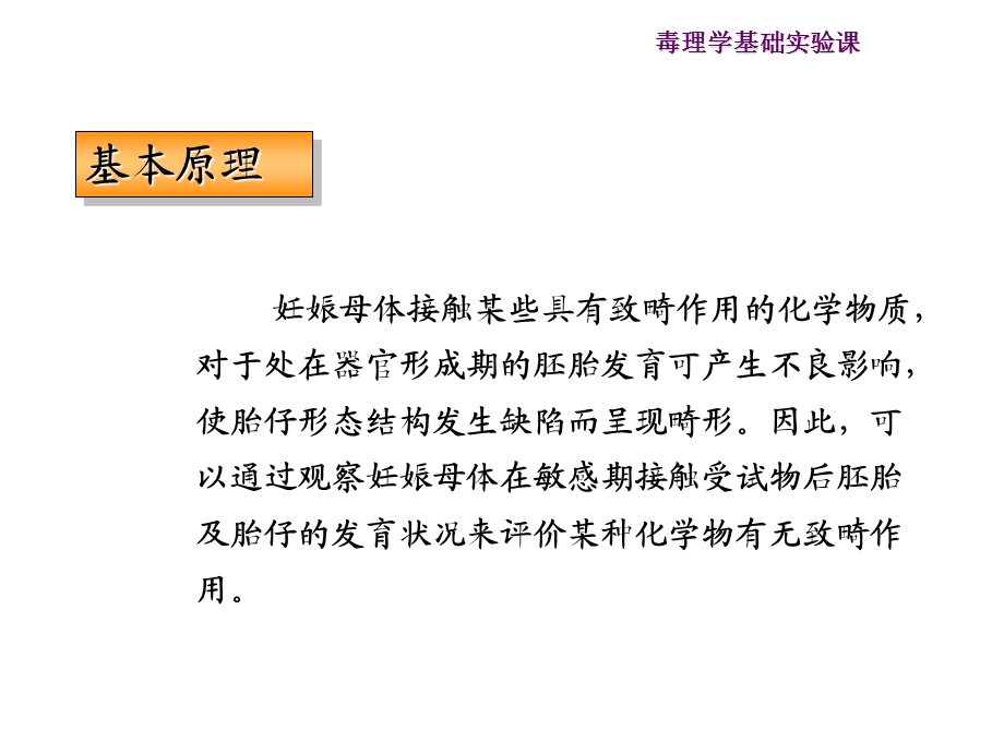 【医学PPT课件】致畸试验.ppt_第3页