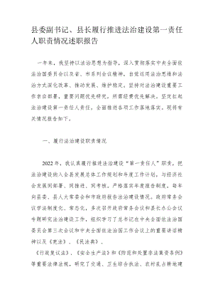 县委副书记、县长履行推进法治建设第一责任人职责情况述职报告.docx