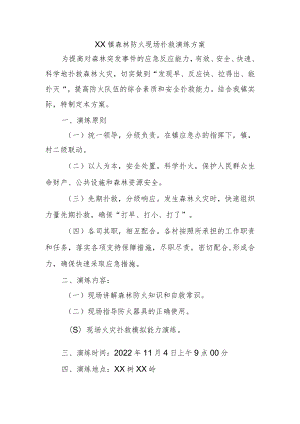 XX镇森林防火现场扑救演练方案.docx