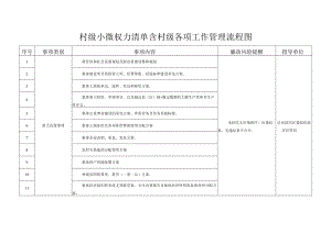 村级小微权力清单含村级各项工作管理流程图.docx