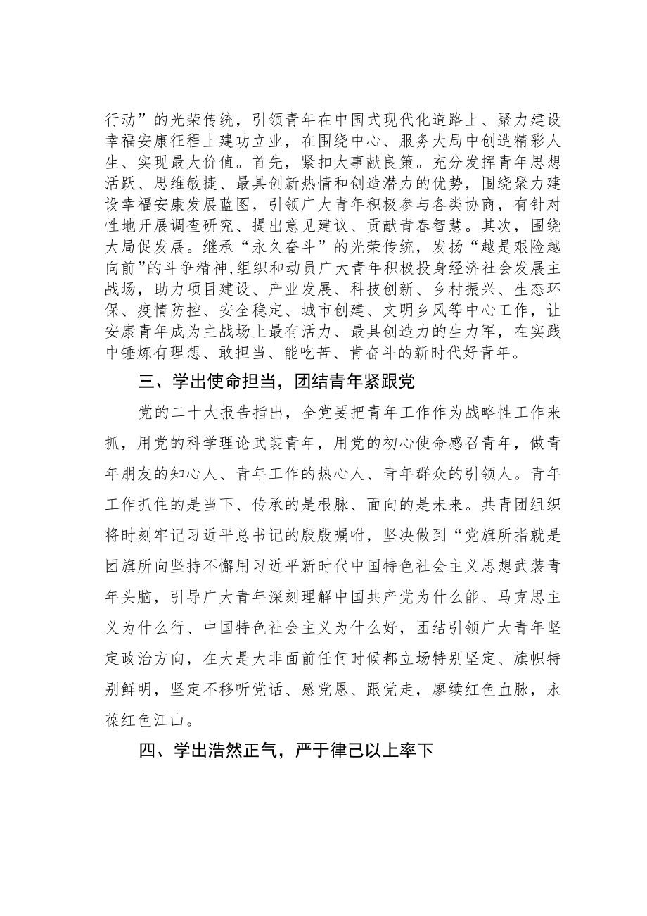 共青团某某市委书记学习二十大精神心得体会：汲取真理伟力践行青春担当.docx_第2页