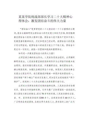 某某学院统战部部长学习二十大精神心得体会：激发团结奋斗的伟大力量.docx