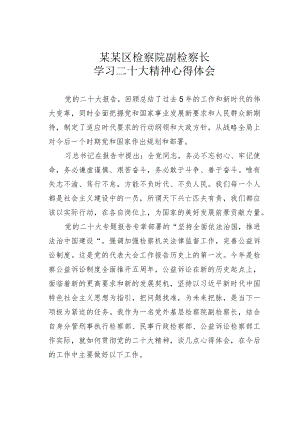 某某区检察院副检察长学习二十大精神心得体会.docx